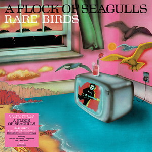 A Flock Of Seagulls Rare Birds – A Flock Of Seagulls B-Sides, Edits and Alternate Mixes vinyl LP Record Store Day RSD 2023 front cover image picture